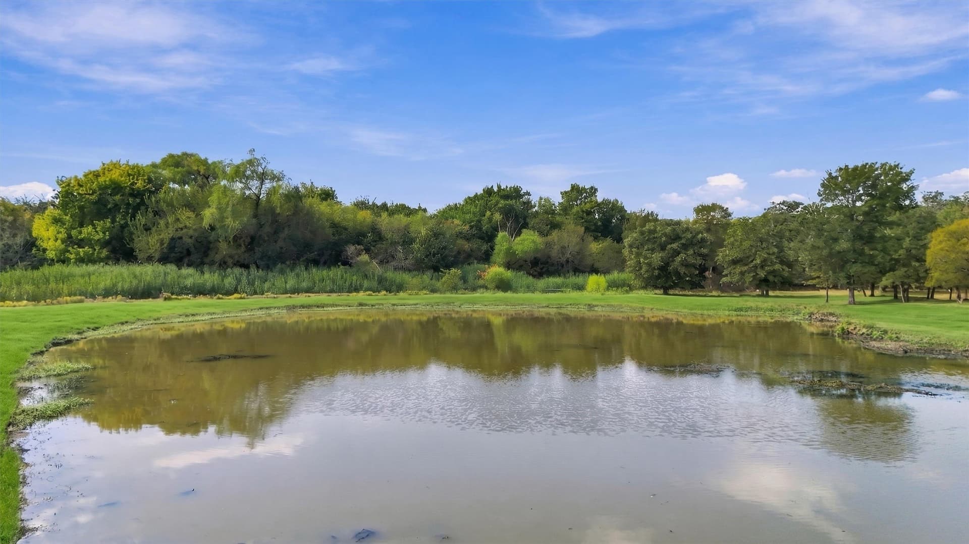67.78 acres in Fannin County - photo 6