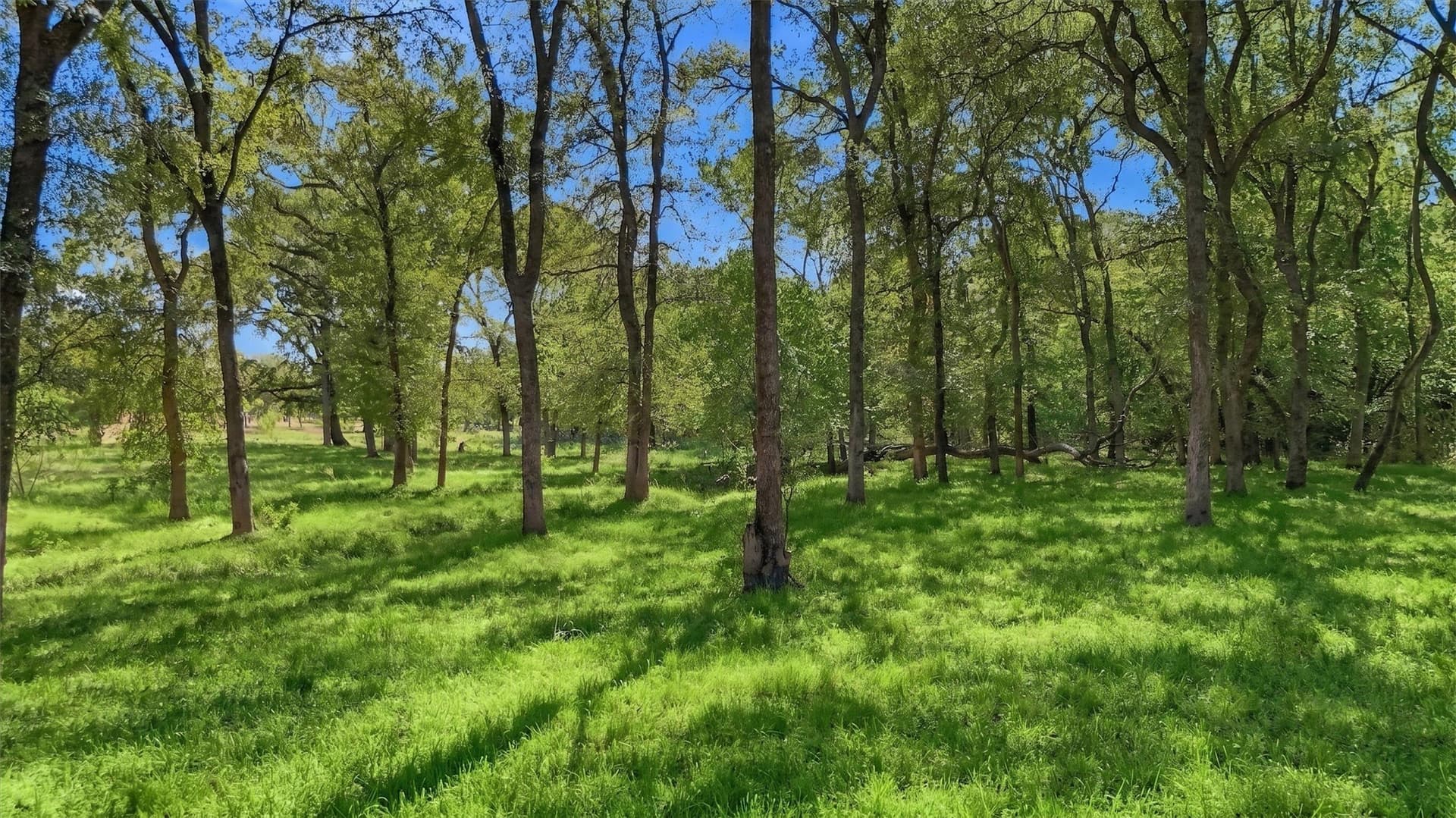 67.78 acres in Fannin County - photo 5