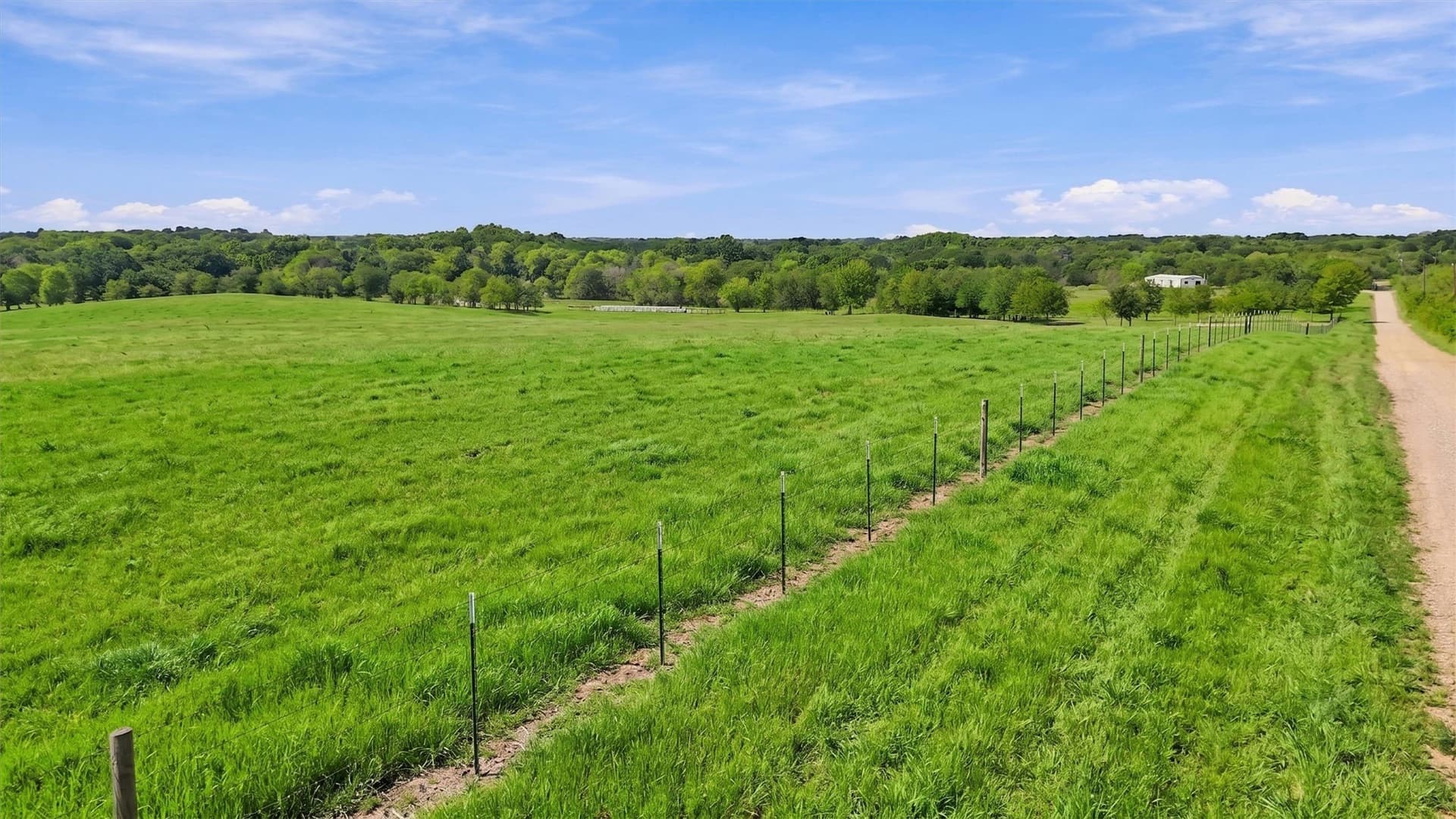 67.78 acres in Fannin County - photo 26