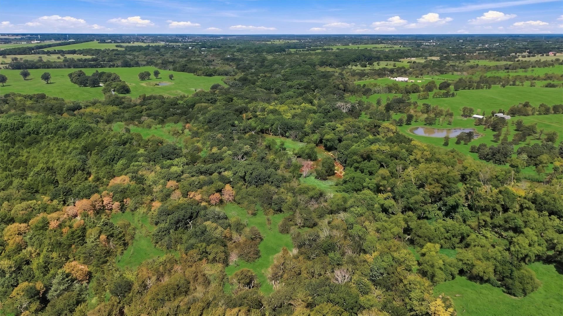 67.78 acres in Fannin County - photo 35