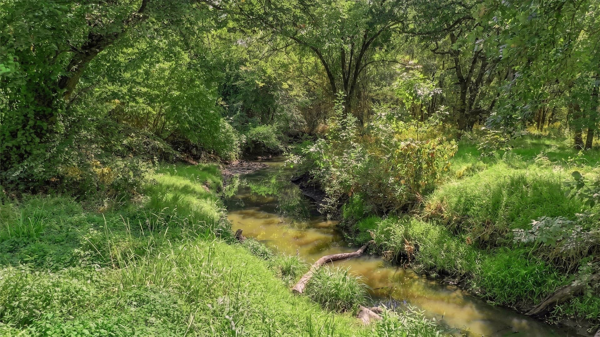 67.78 acres in Fannin County - photo 11