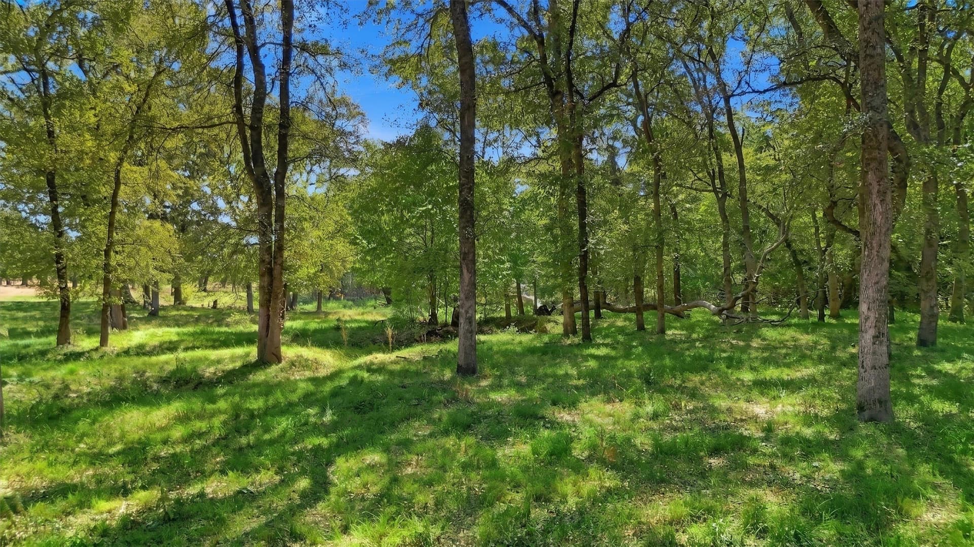 67.78 acres in Fannin County - photo 7