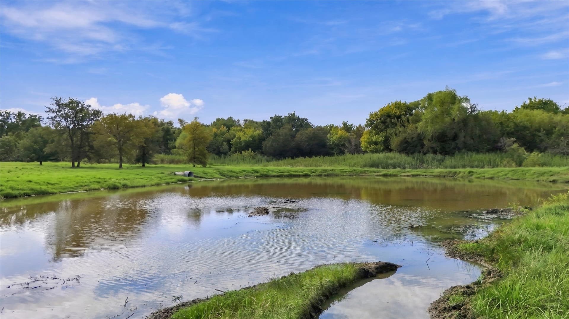 67.78 acres in Fannin County - photo 8