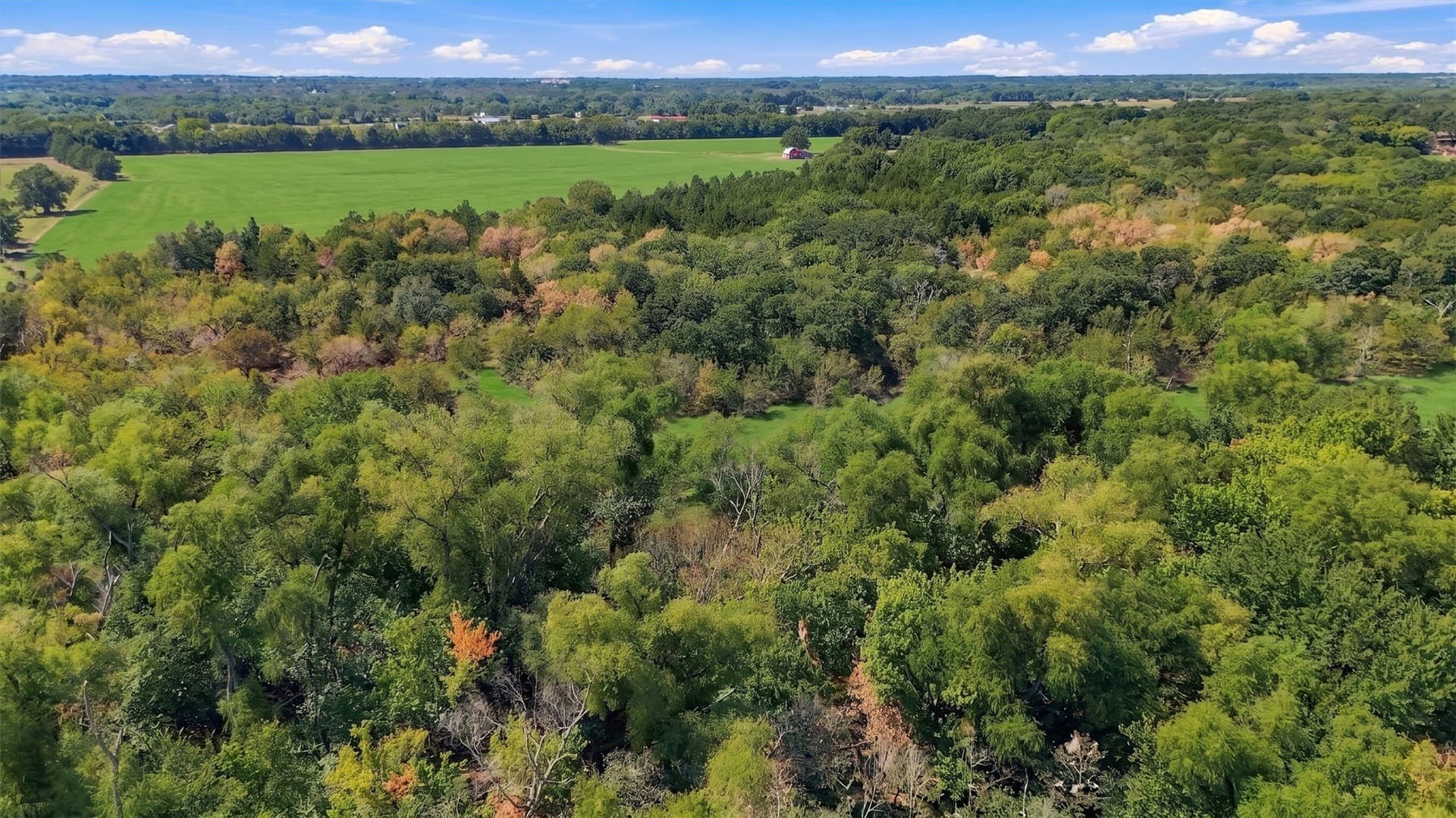 67.78 acres in Fannin County - photo 36