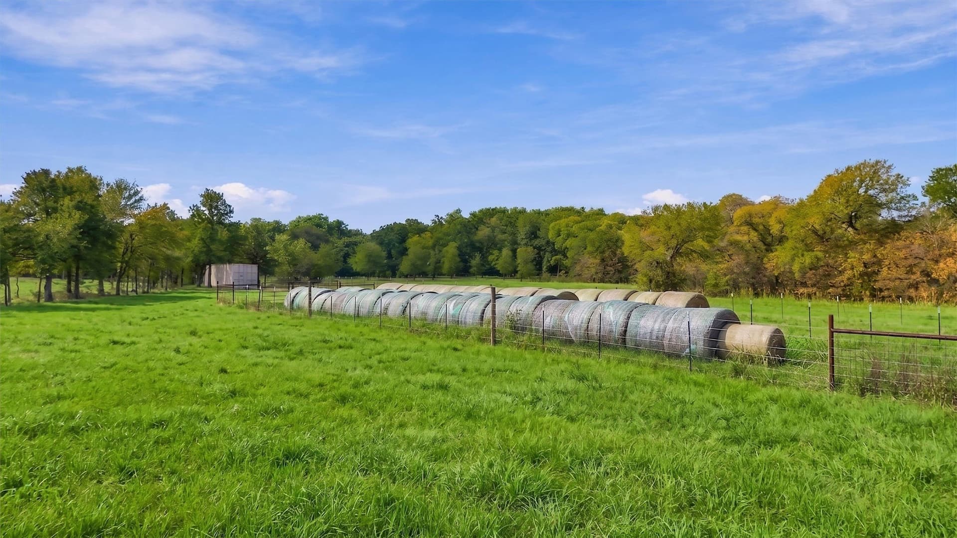 67.78 acres in Fannin County - photo 27
