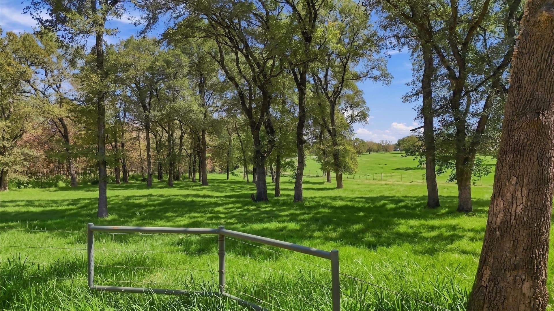 67.78 acres in Fannin County - photo 10