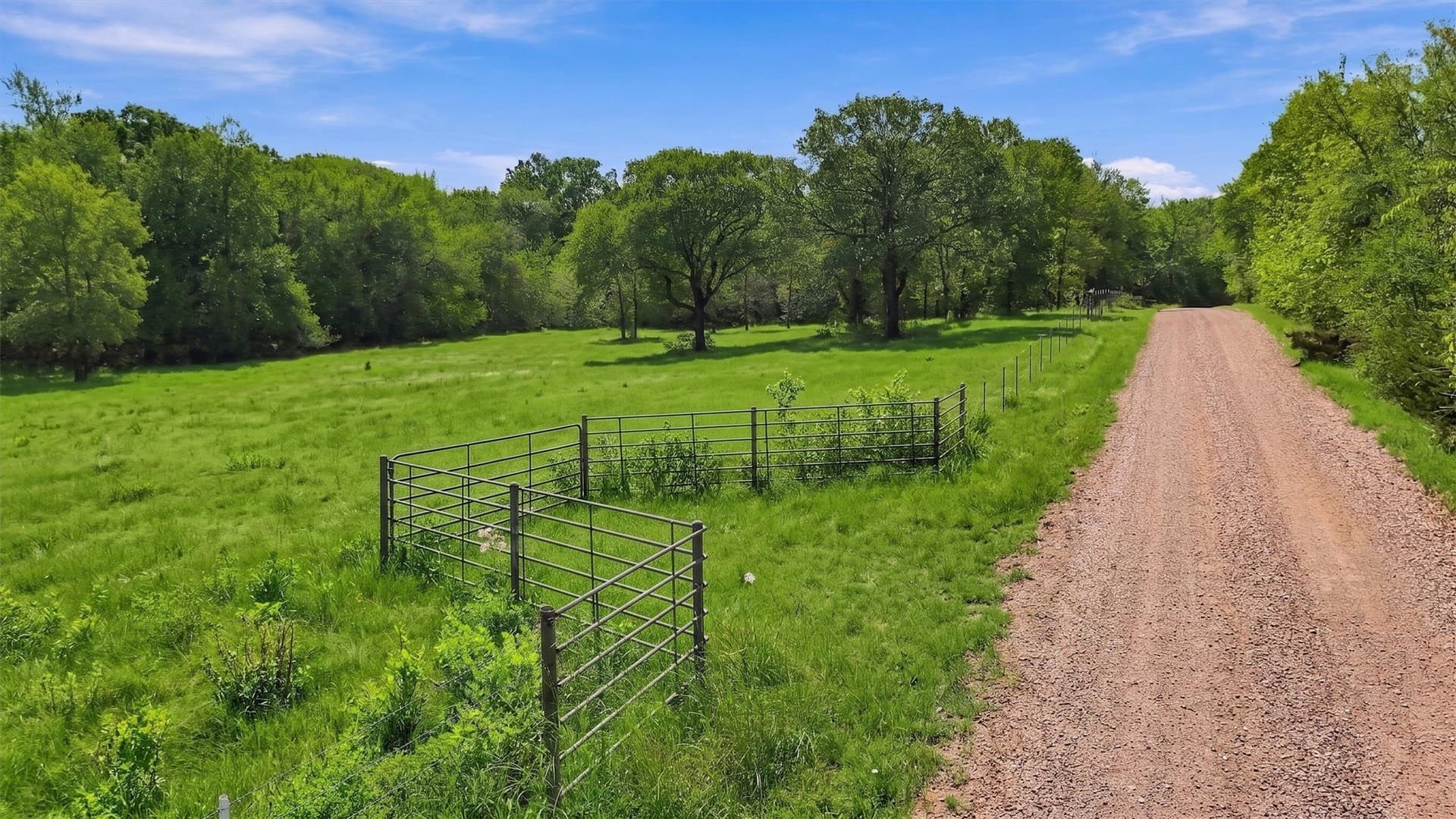 67.78 acres in Fannin County - photo 40