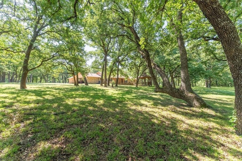 14.05 acres in Grayson County gallery image 3