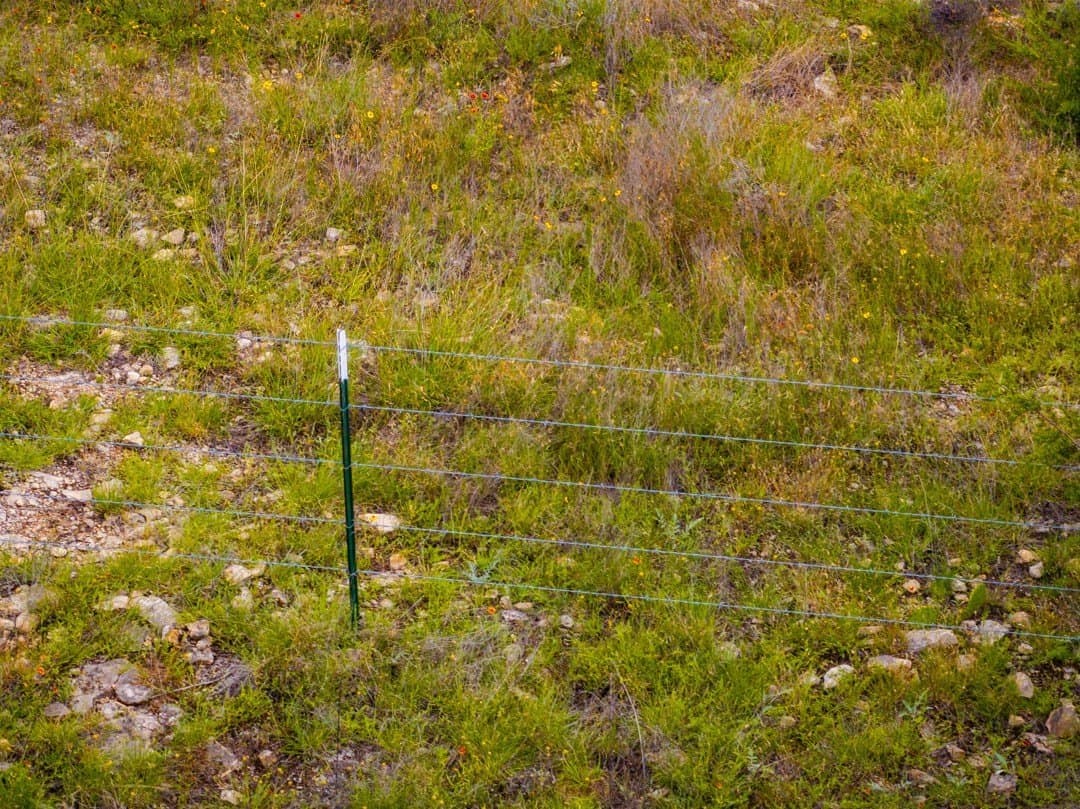 3.64 acres in Jack County - photo 9
