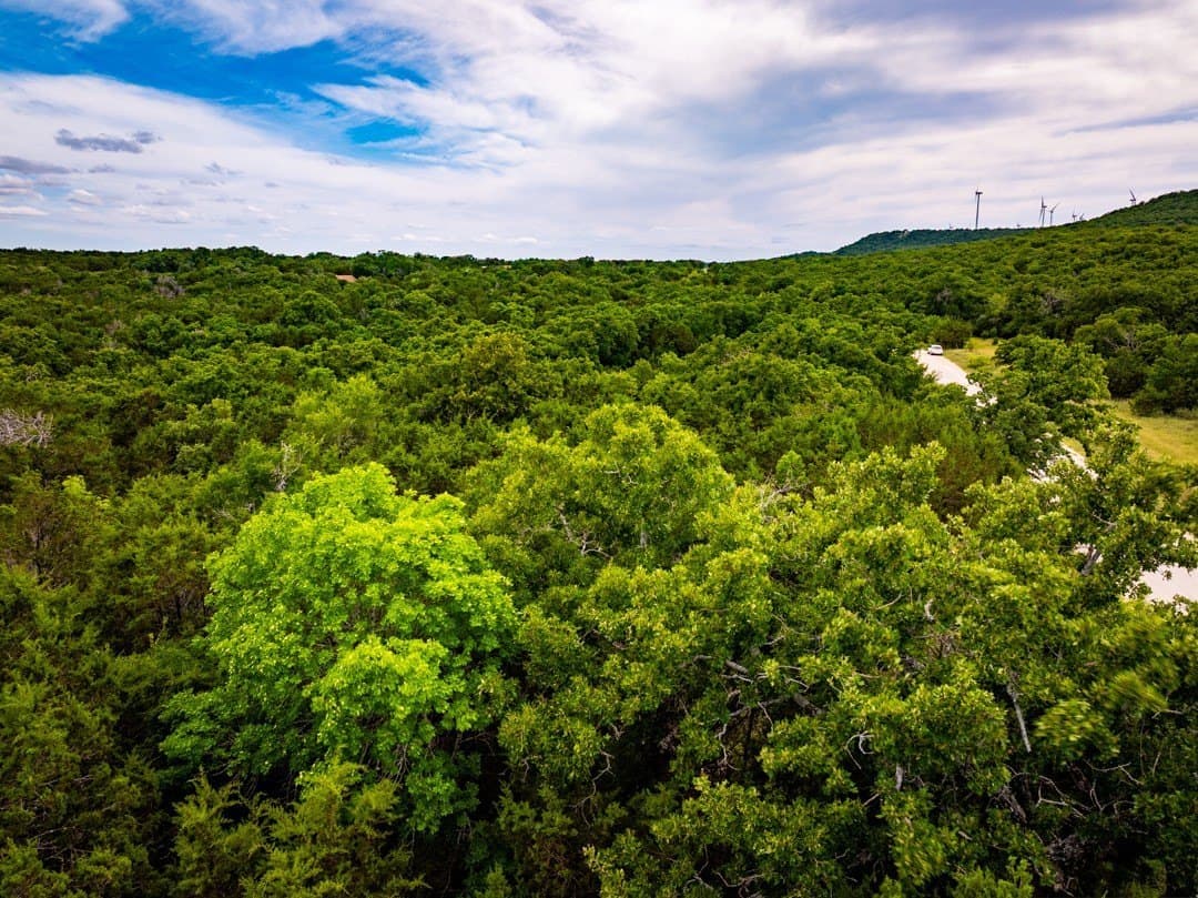 3.64 acres in Jack County gallery image 4