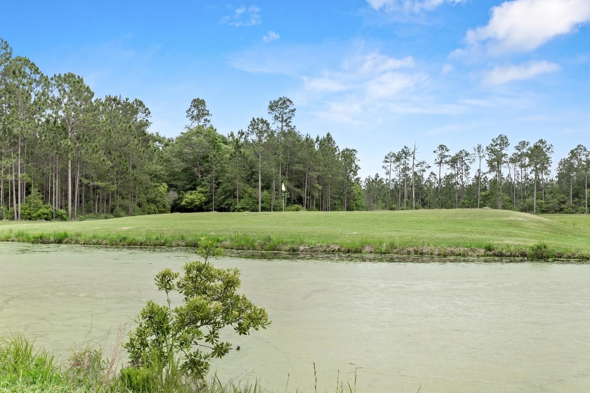 167 acres in Texas County - photo 40