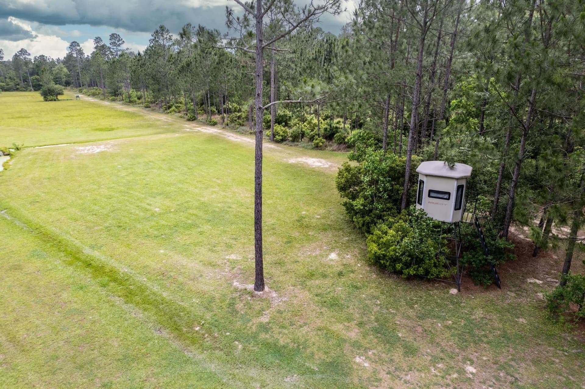 167 acres in Texas County - photo 42
