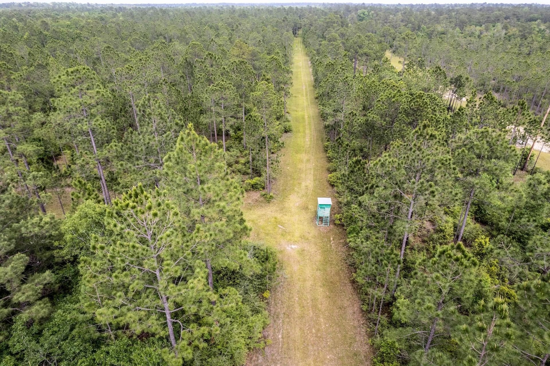 167 acres in Texas County - photo 47