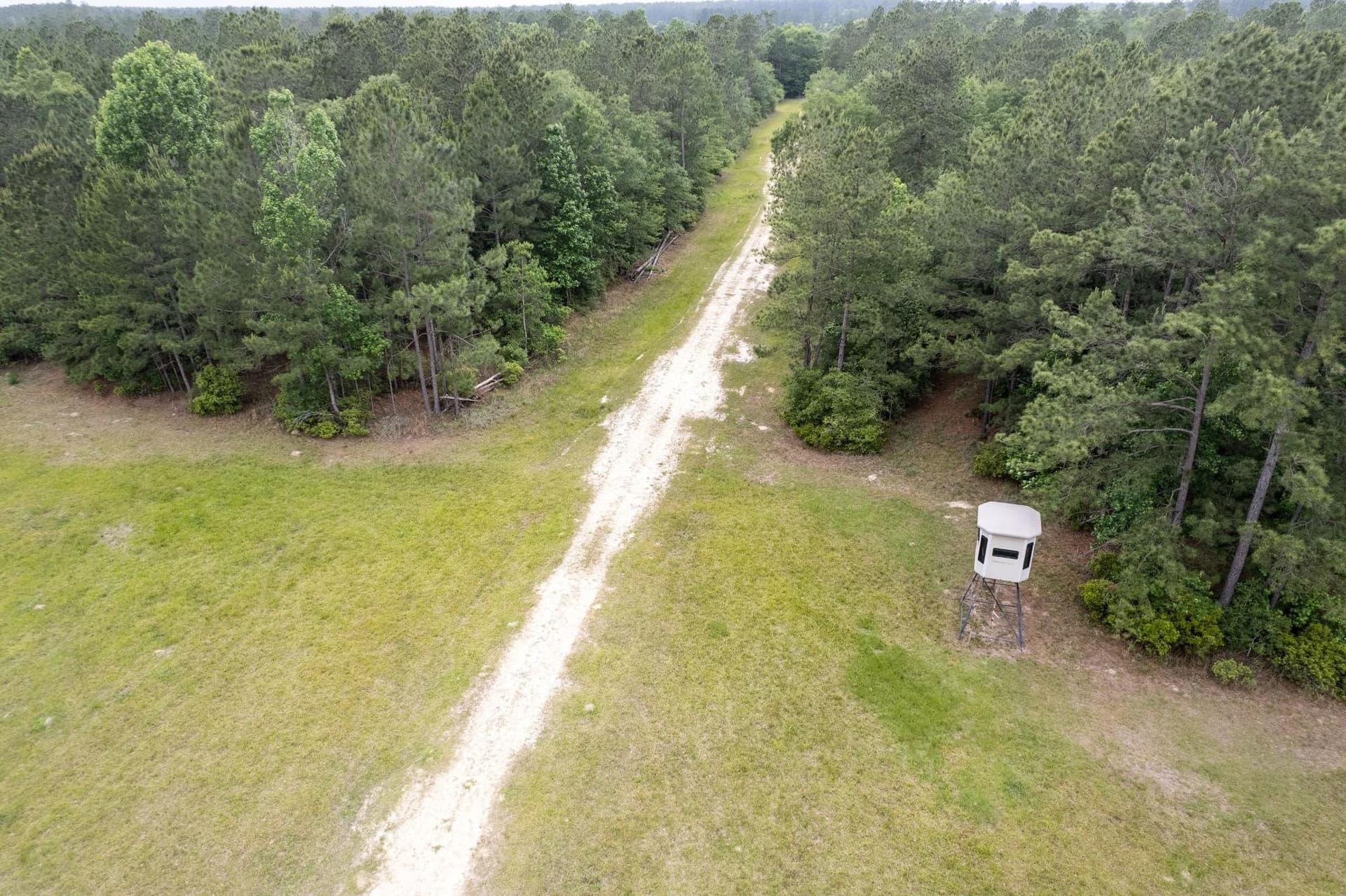 167 acres in Texas County - photo 41