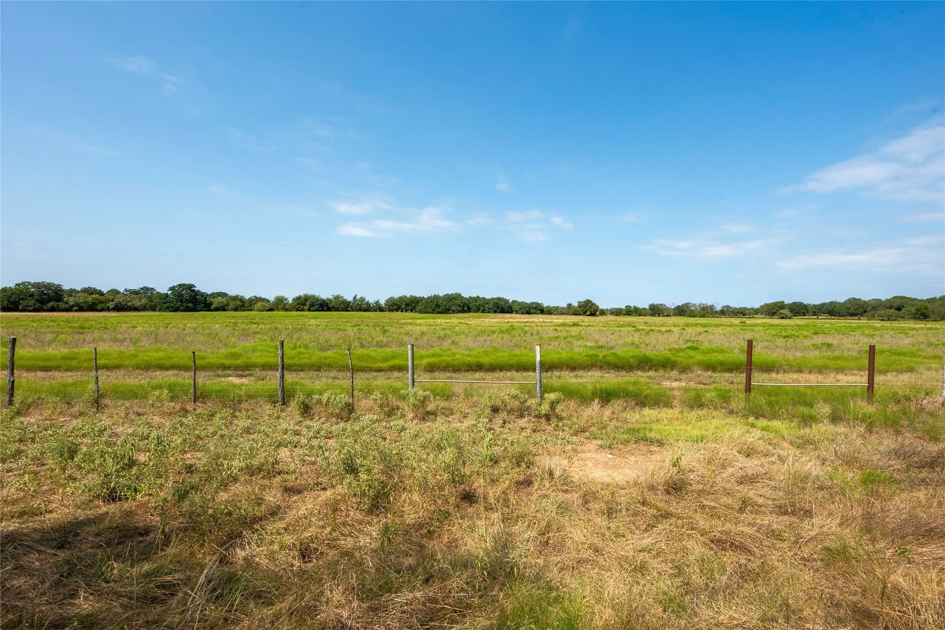 314 acres in Erath County - photo 25