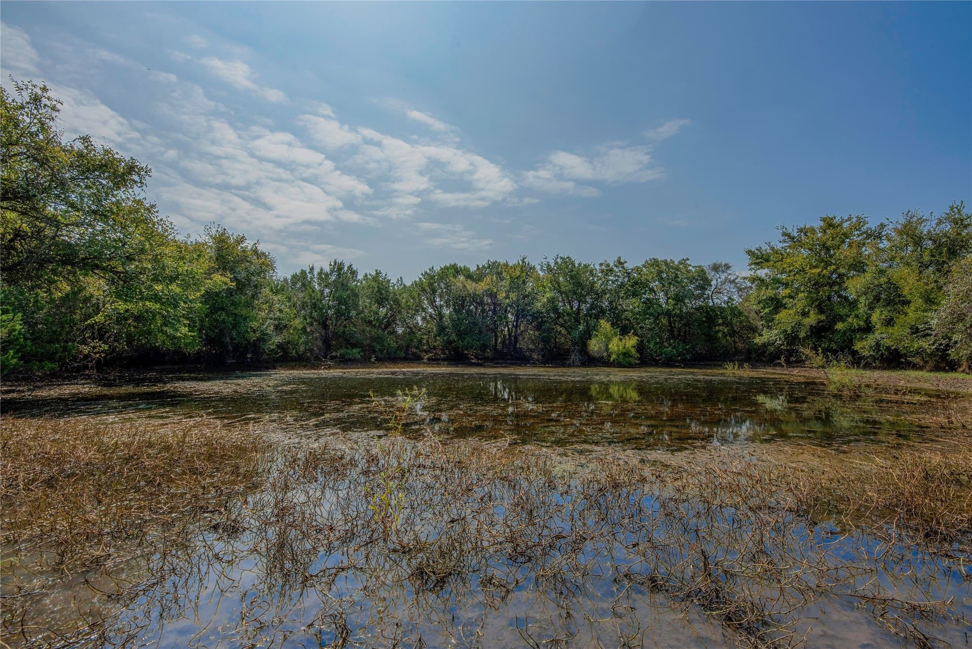 314 acres in Erath County - photo 33