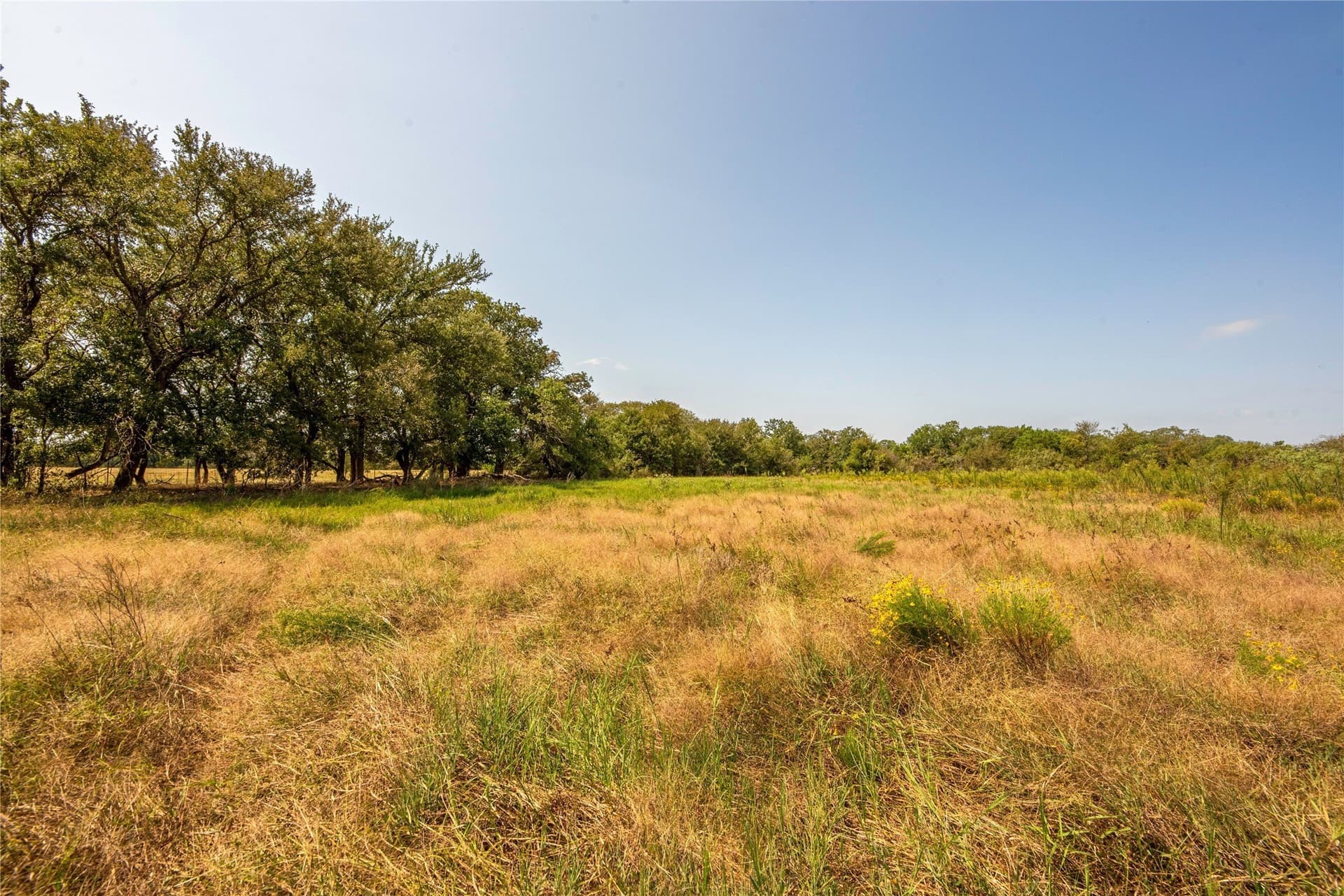 314 acres in Erath County - photo 34