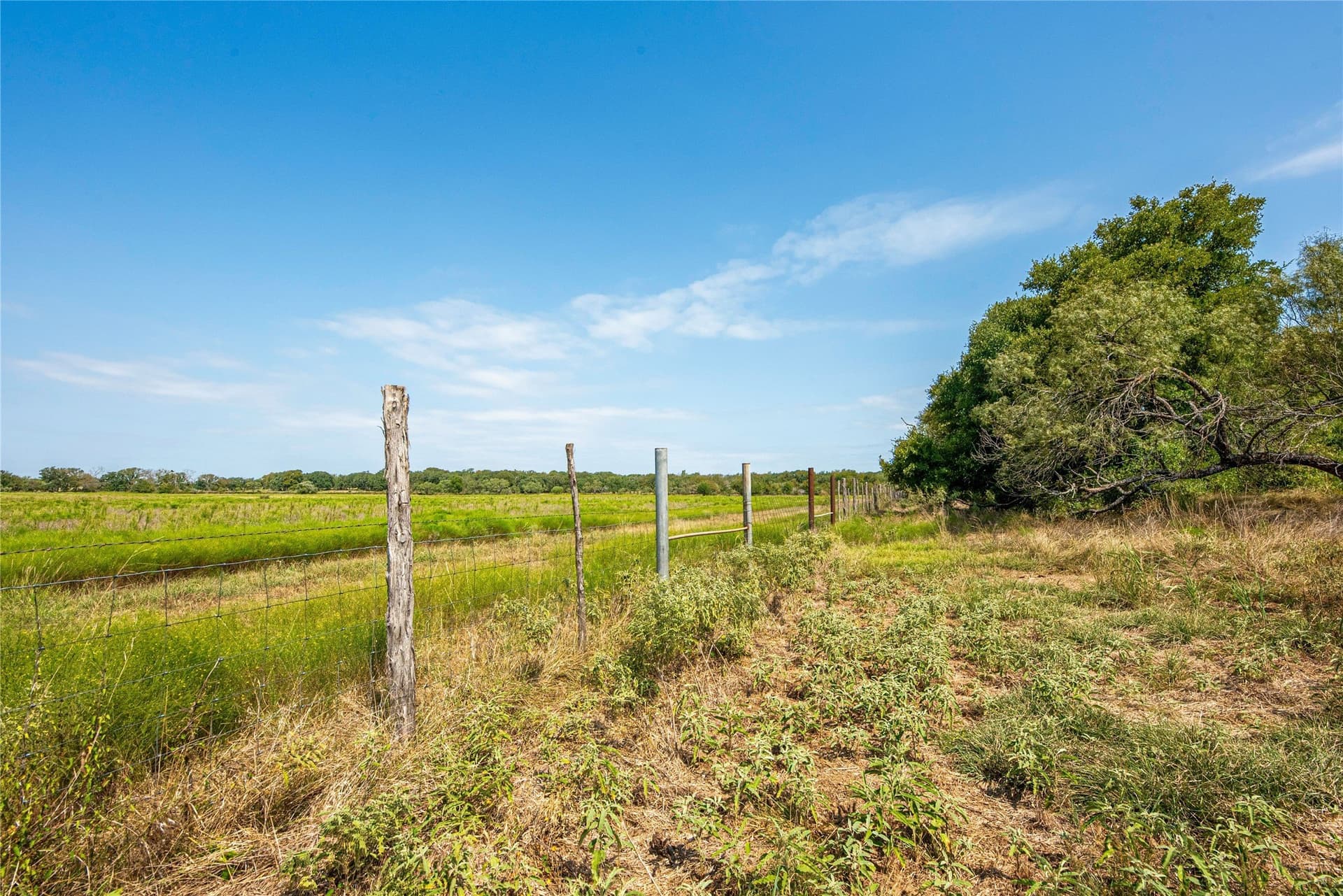 314 acres in Erath County - photo 28
