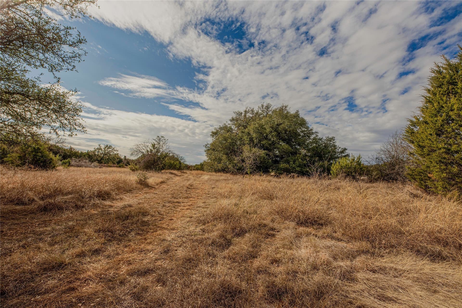 314 acres in Erath County - photo 38