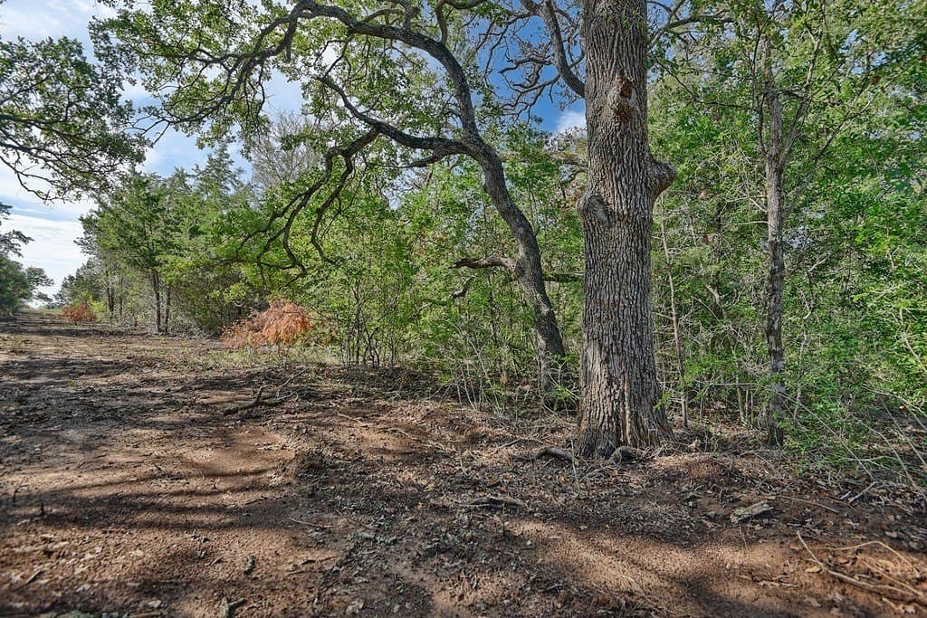 20.2 acres in Lee County featured view