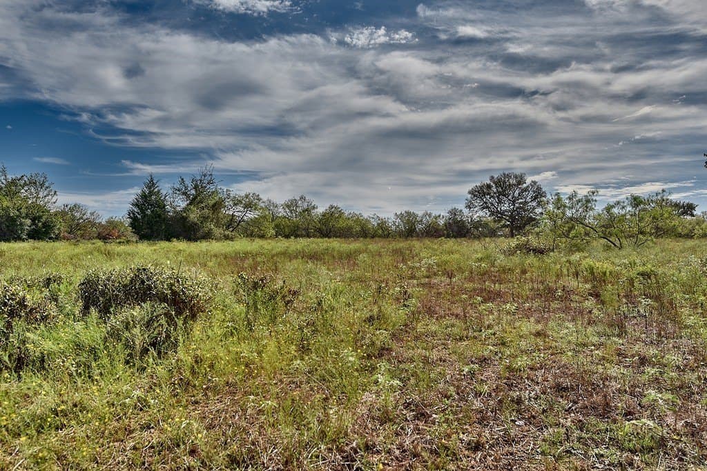 20.2 acres in Lee County gallery image 4