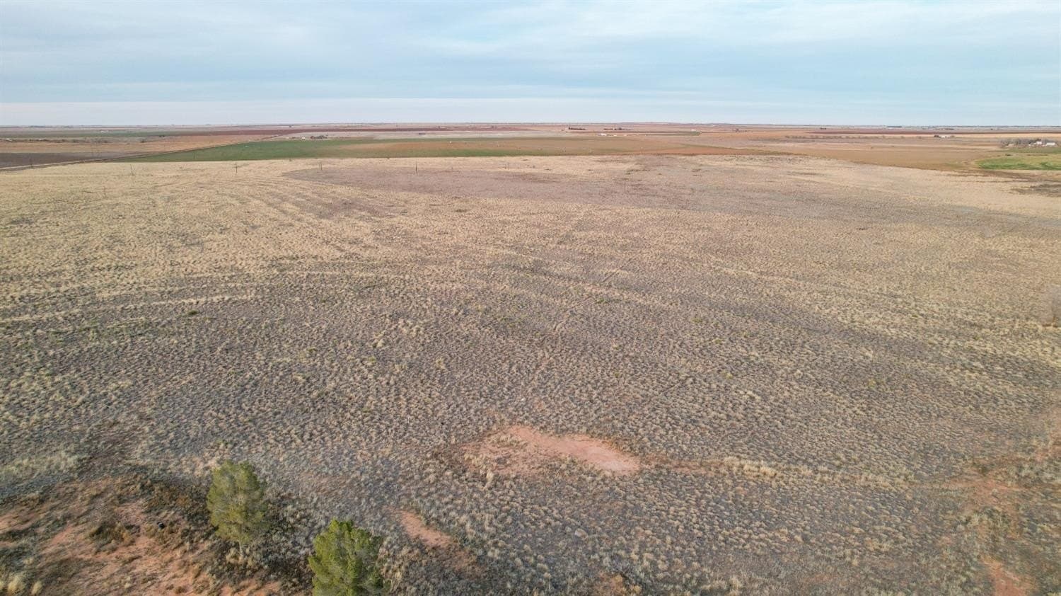 20.06 acres in Lubbock County - photo 6