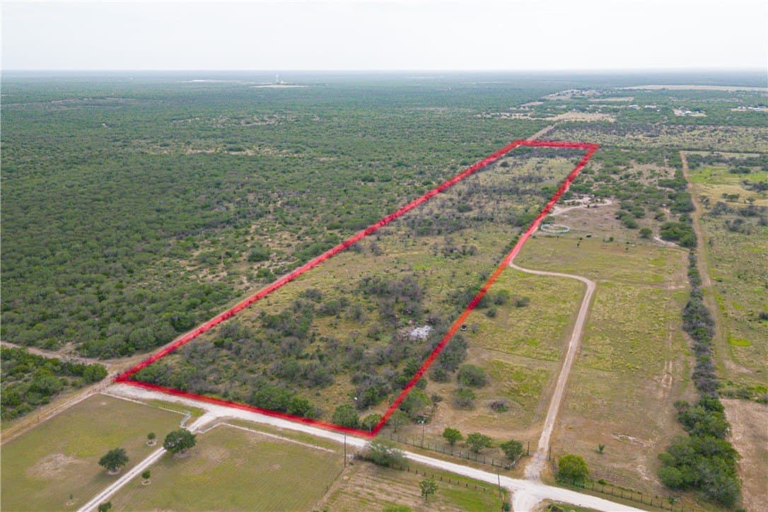 20 acres in Jim Wells County gallery image 3