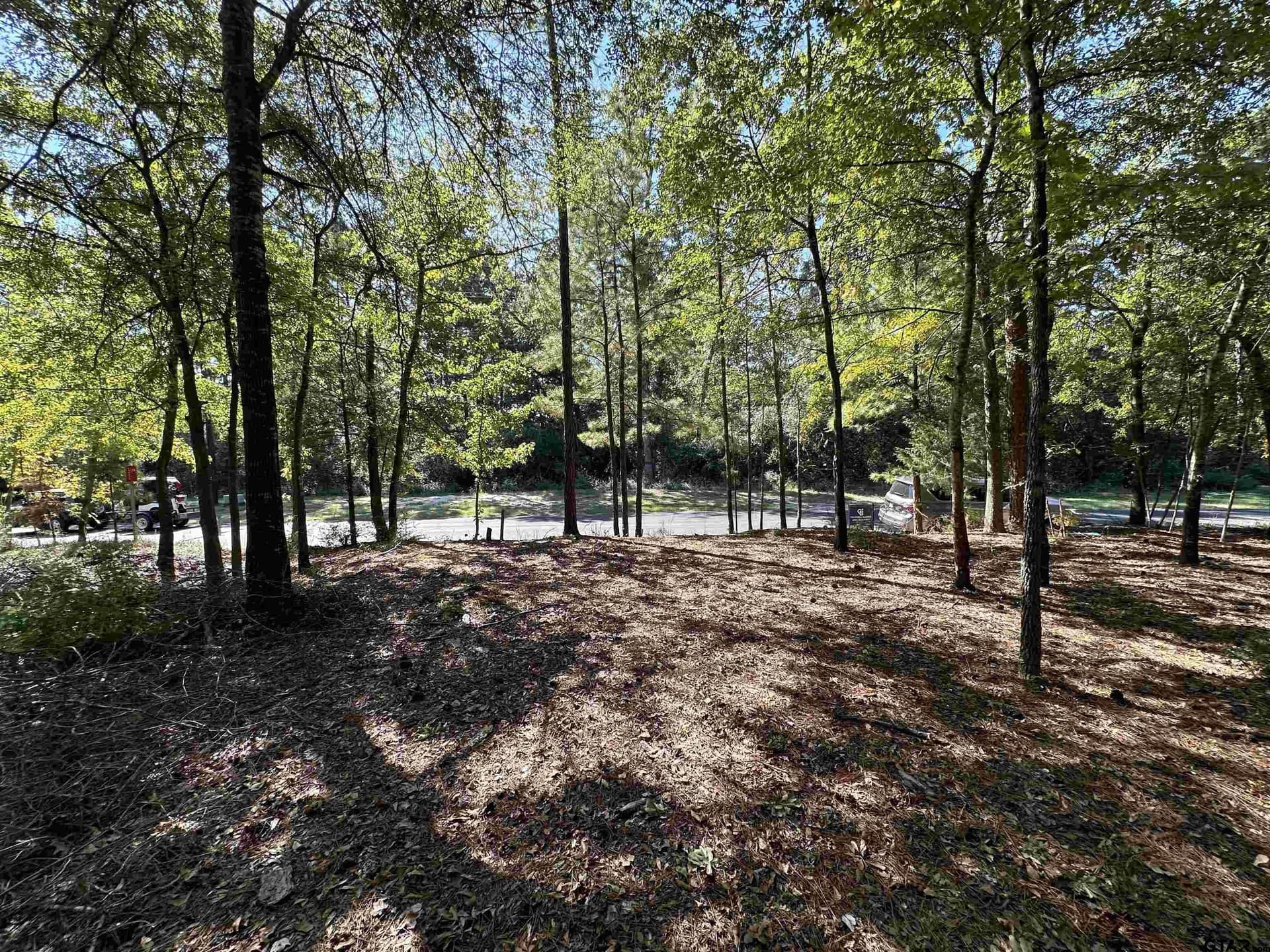 0.37 acres in Wood County - photo 8