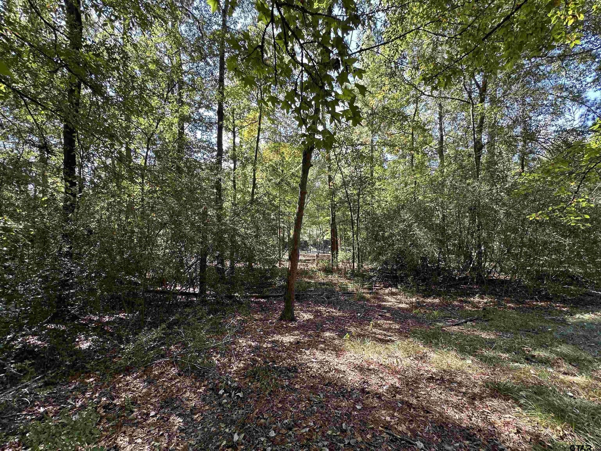 0.37 acres in Wood County - photo 25