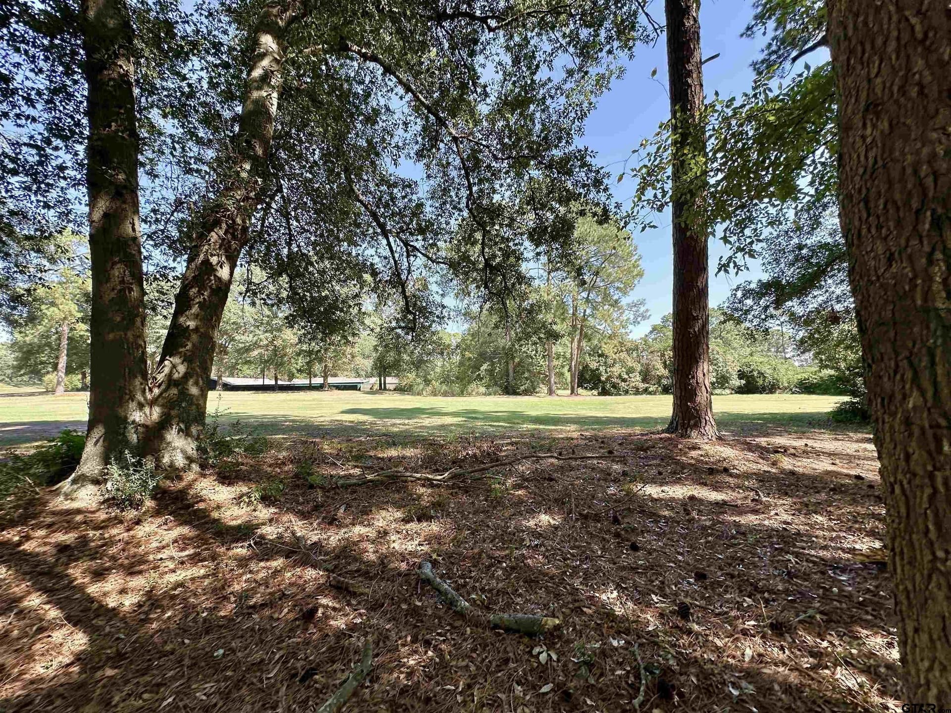0.37 acres in Wood County - photo 17