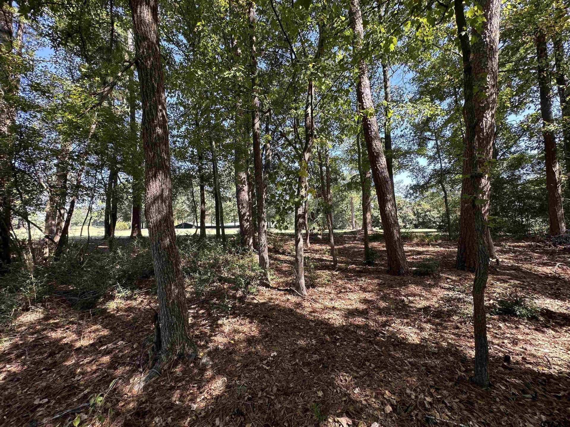 0.37 acres in Wood County - photo 15