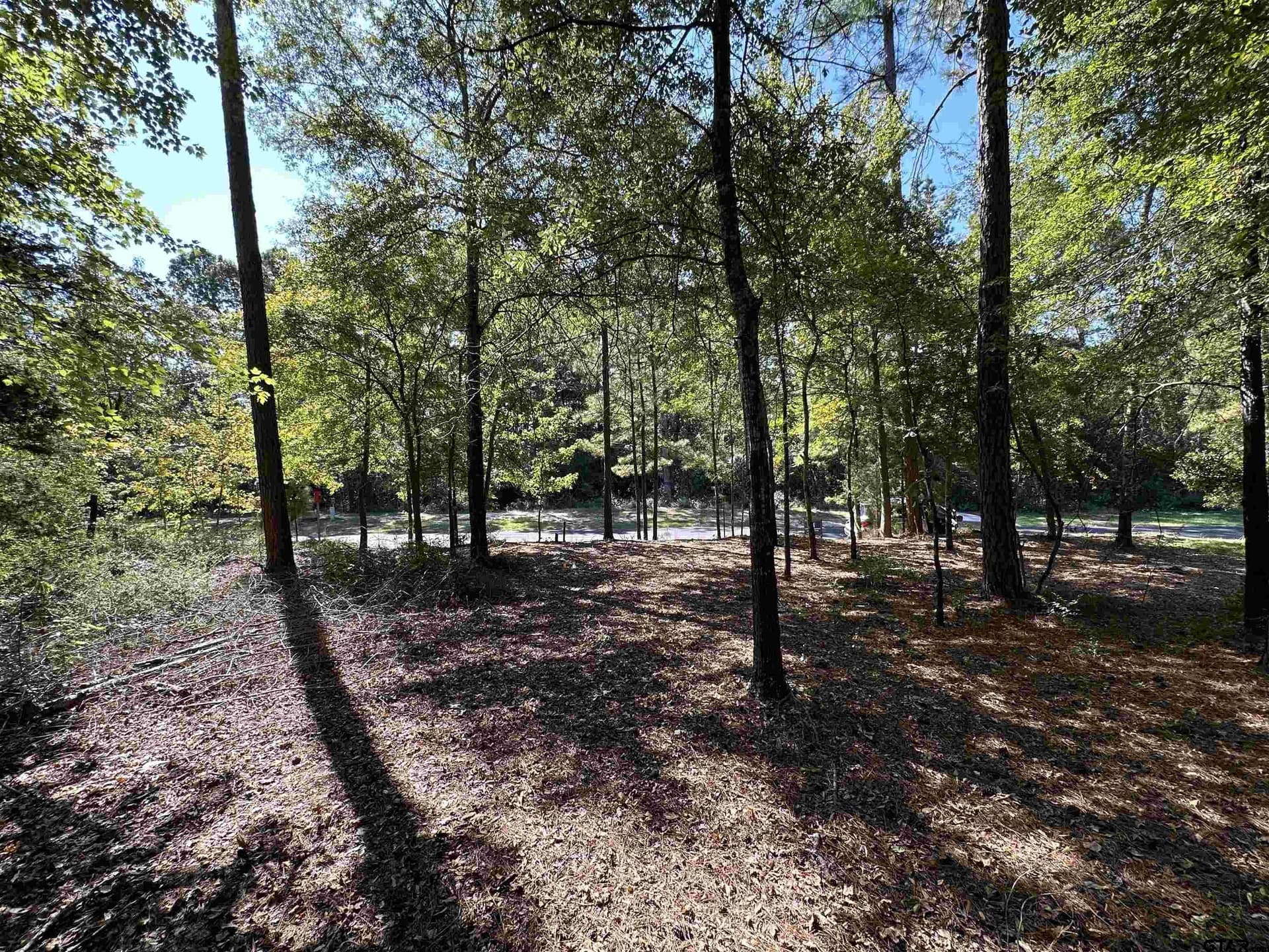 0.37 acres in Wood County - photo 29