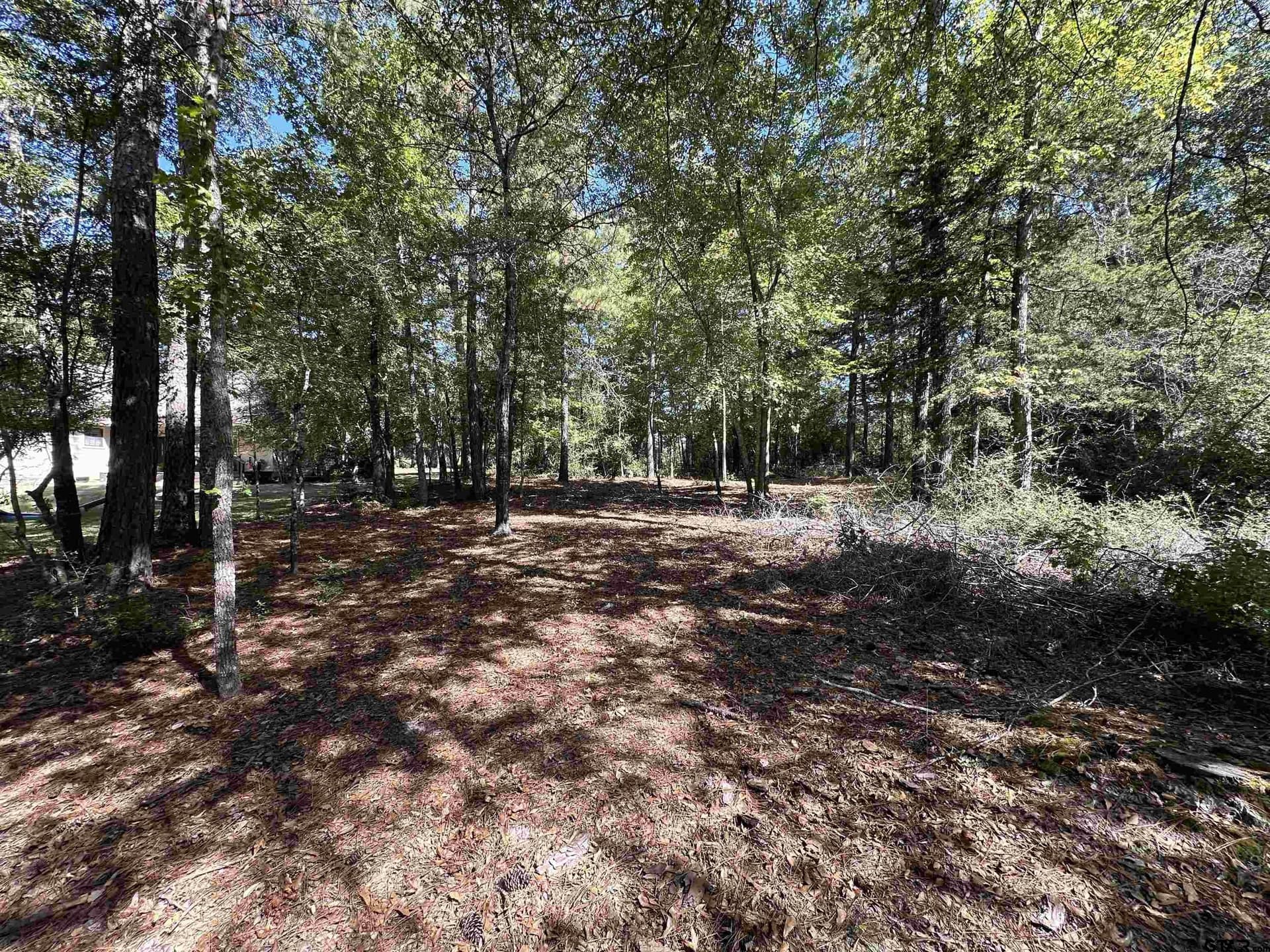 0.37 acres in Wood County - photo 6
