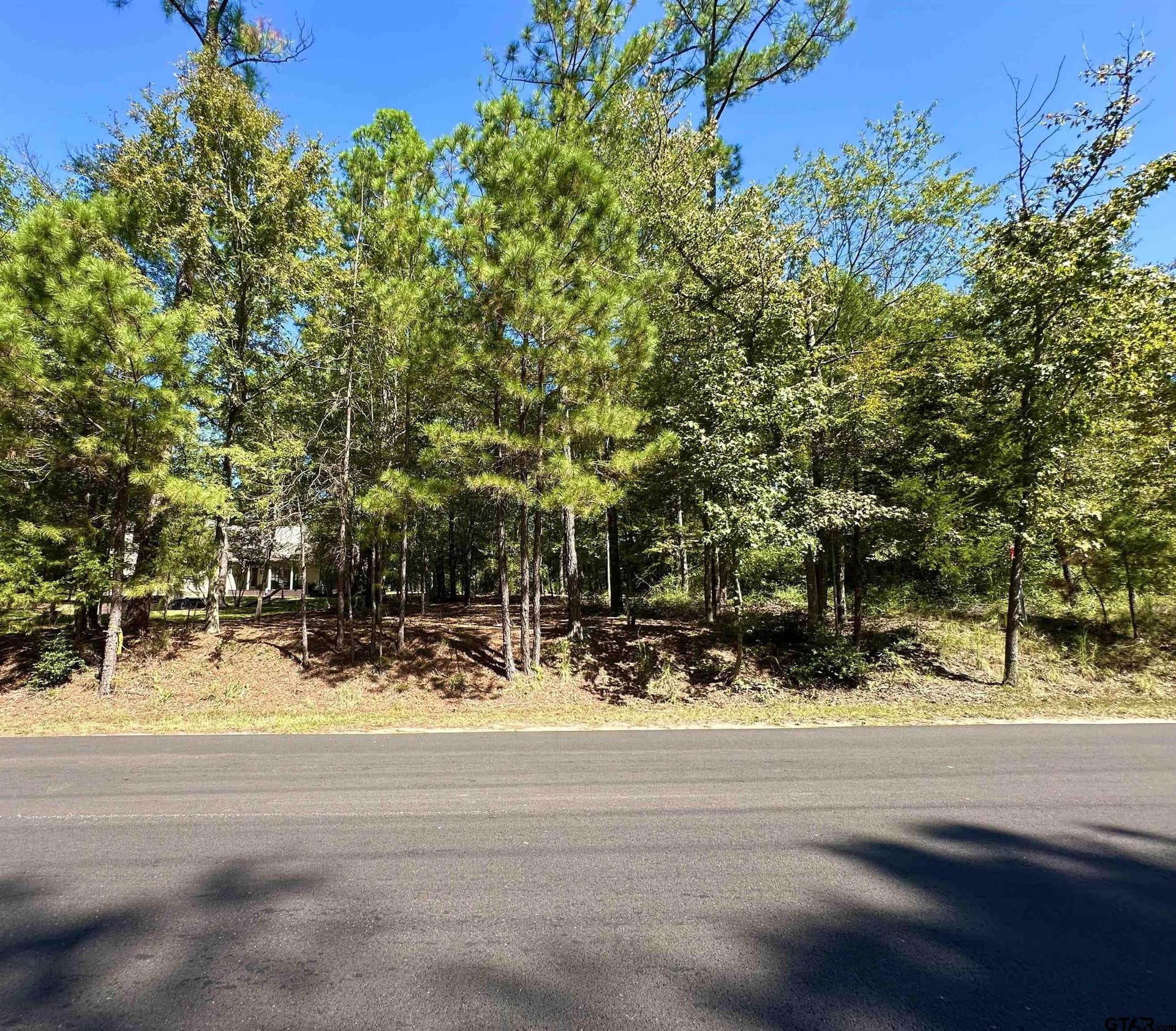 0.37 acres in Wood County - photo 35