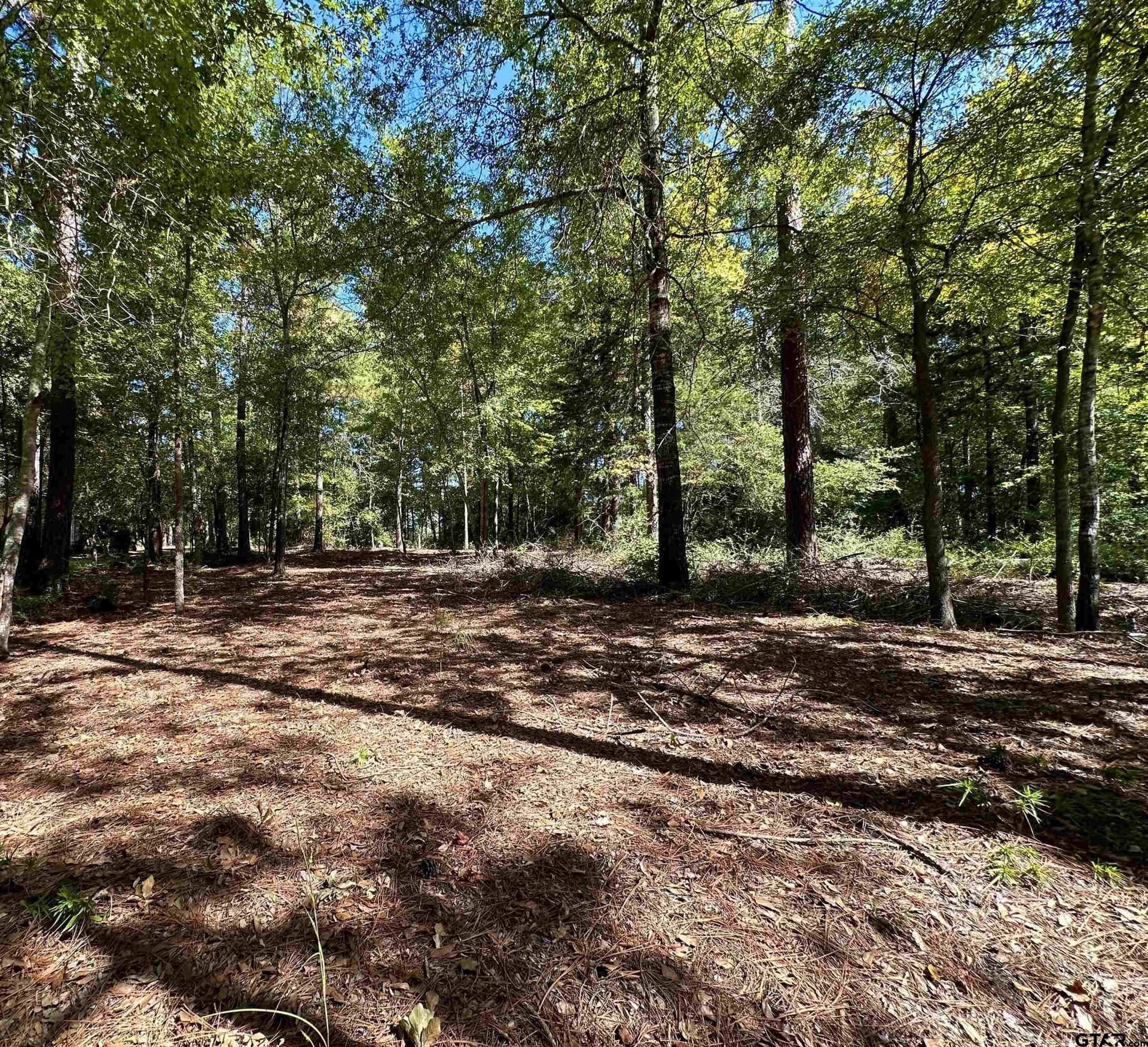 0.37 acres in Wood County - photo 32