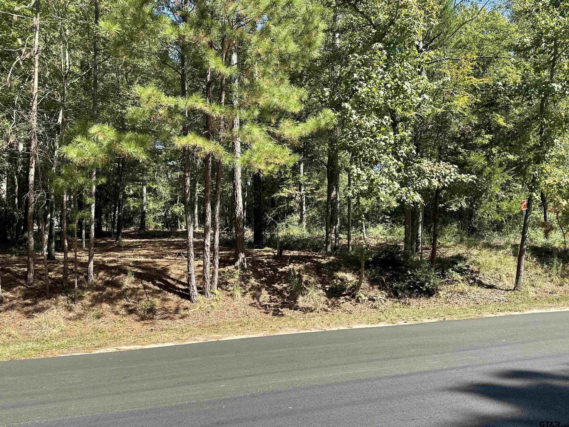 0.37 acres in Wood County - photo 34