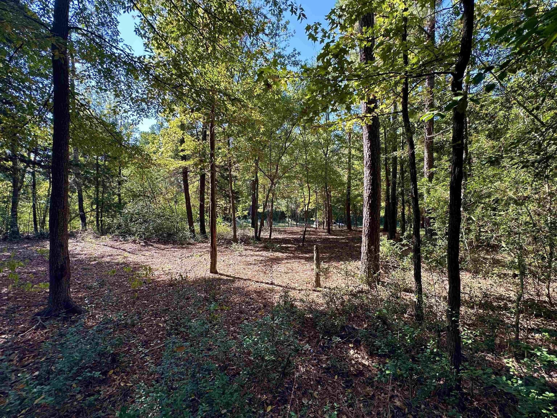 0.37 acres in Wood County - photo 27
