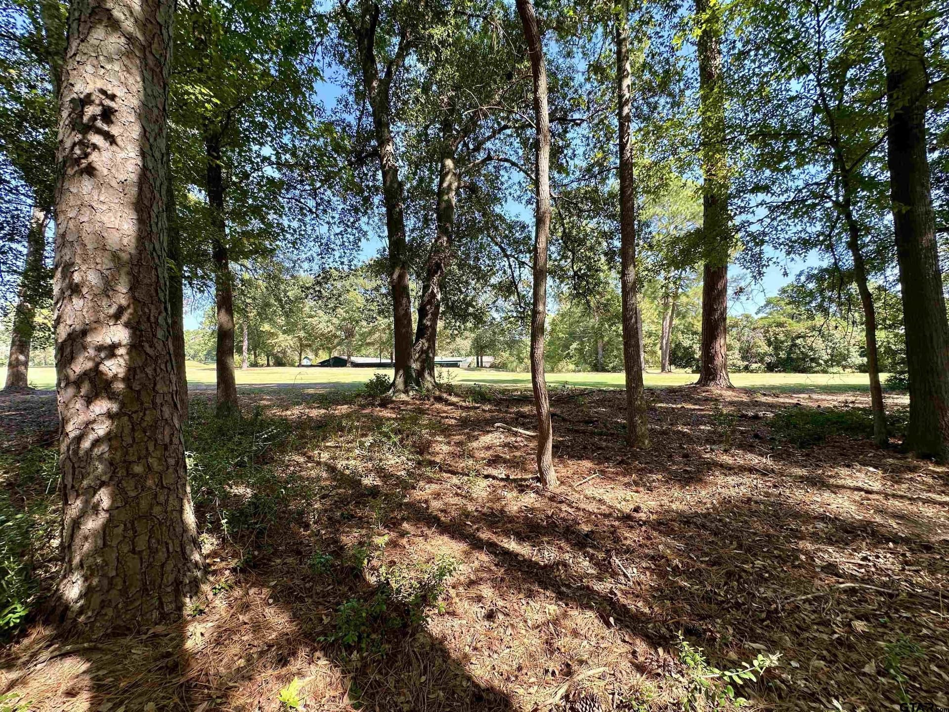 0.37 acres in Wood County - photo 16