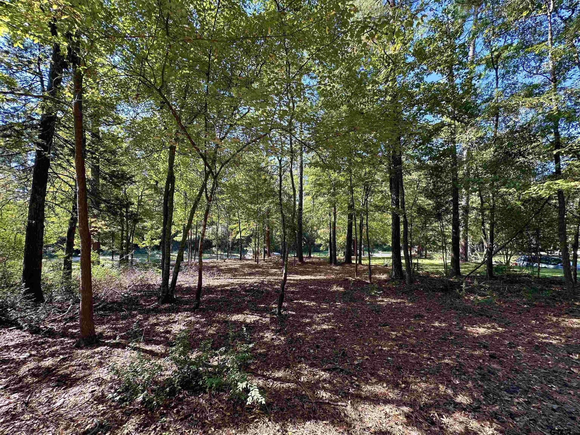 0.37 acres in Wood County - photo 11
