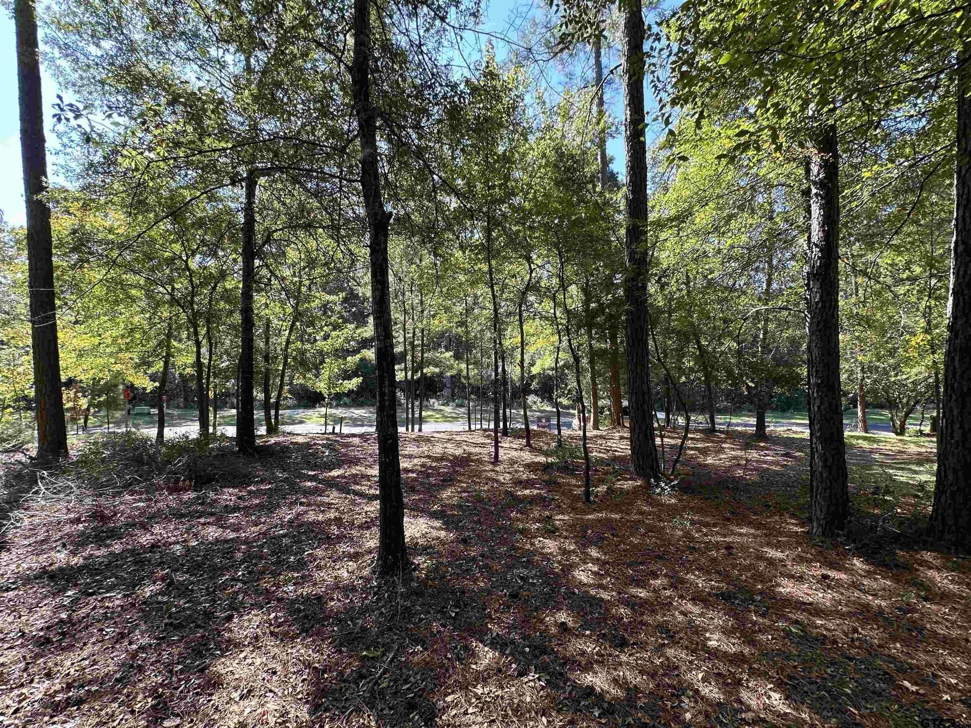 0.37 acres in Wood County - photo 31