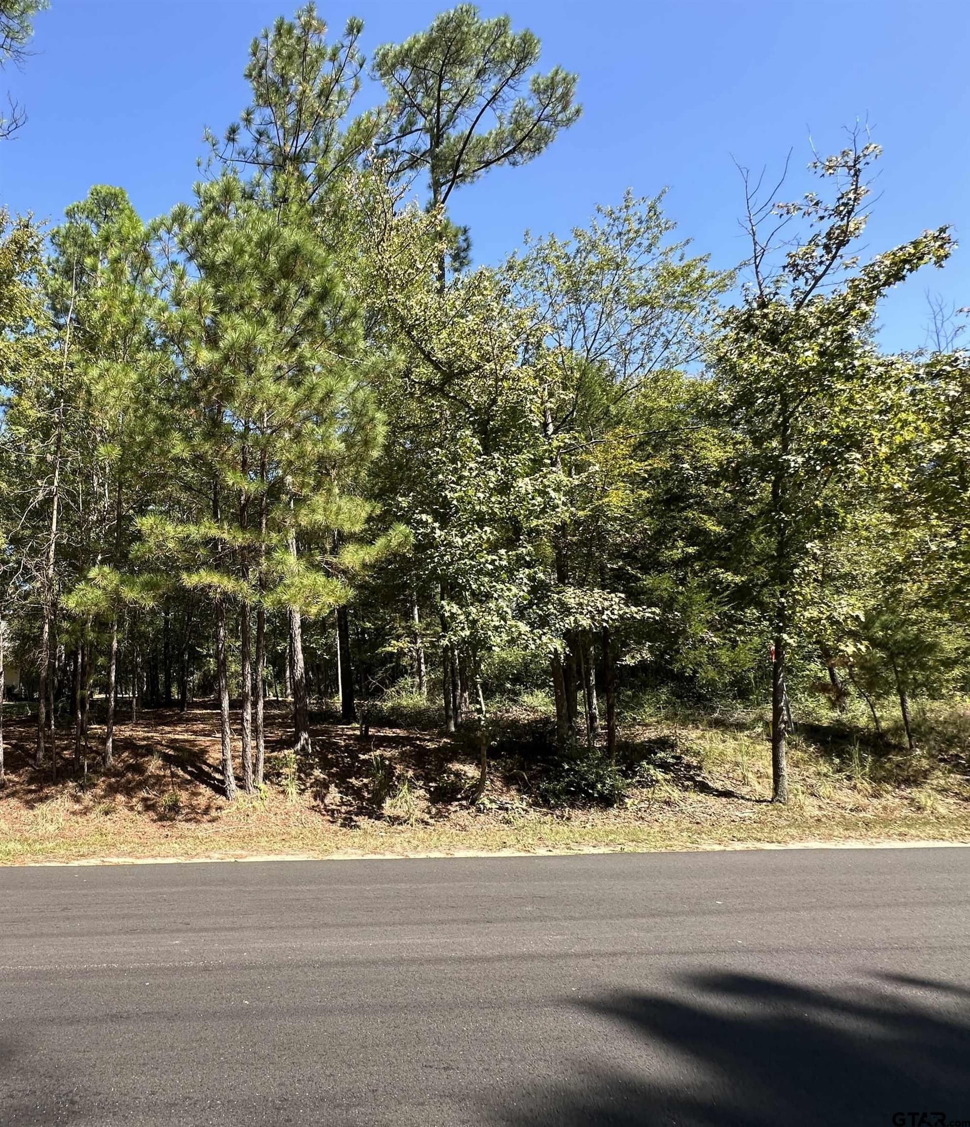 0.37 acres in Wood County - photo 36