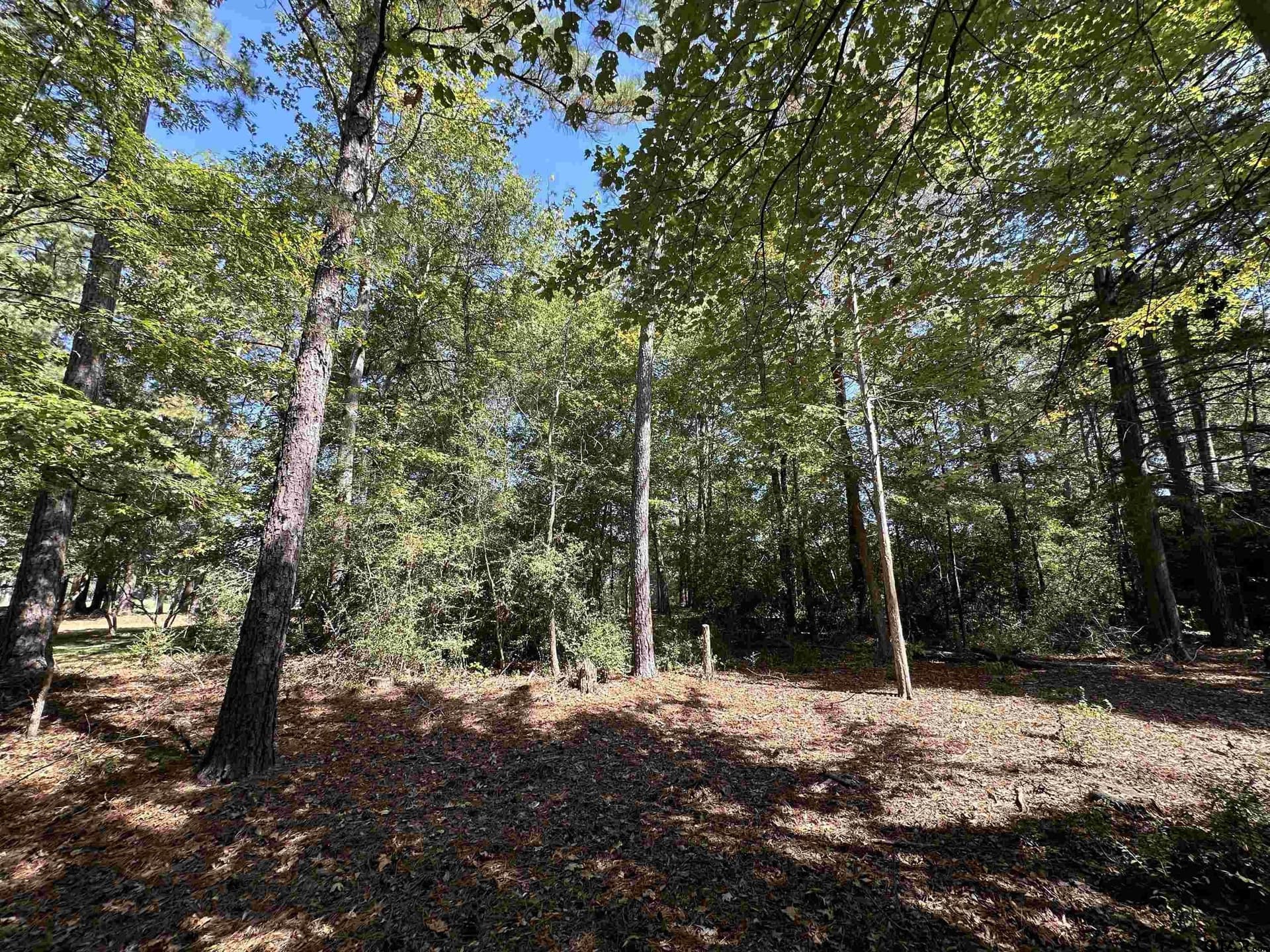 0.37 acres in Wood County - photo 10