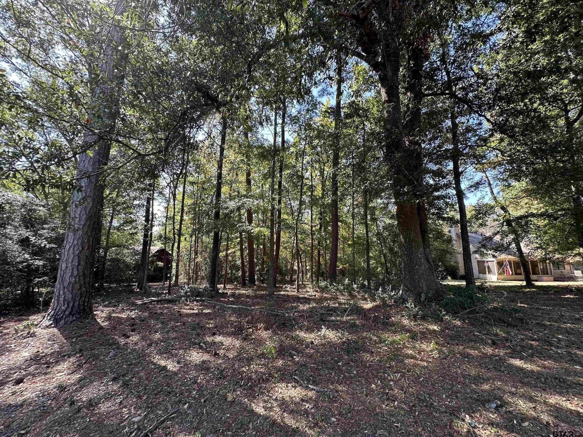 0.37 acres in Wood County - photo 21