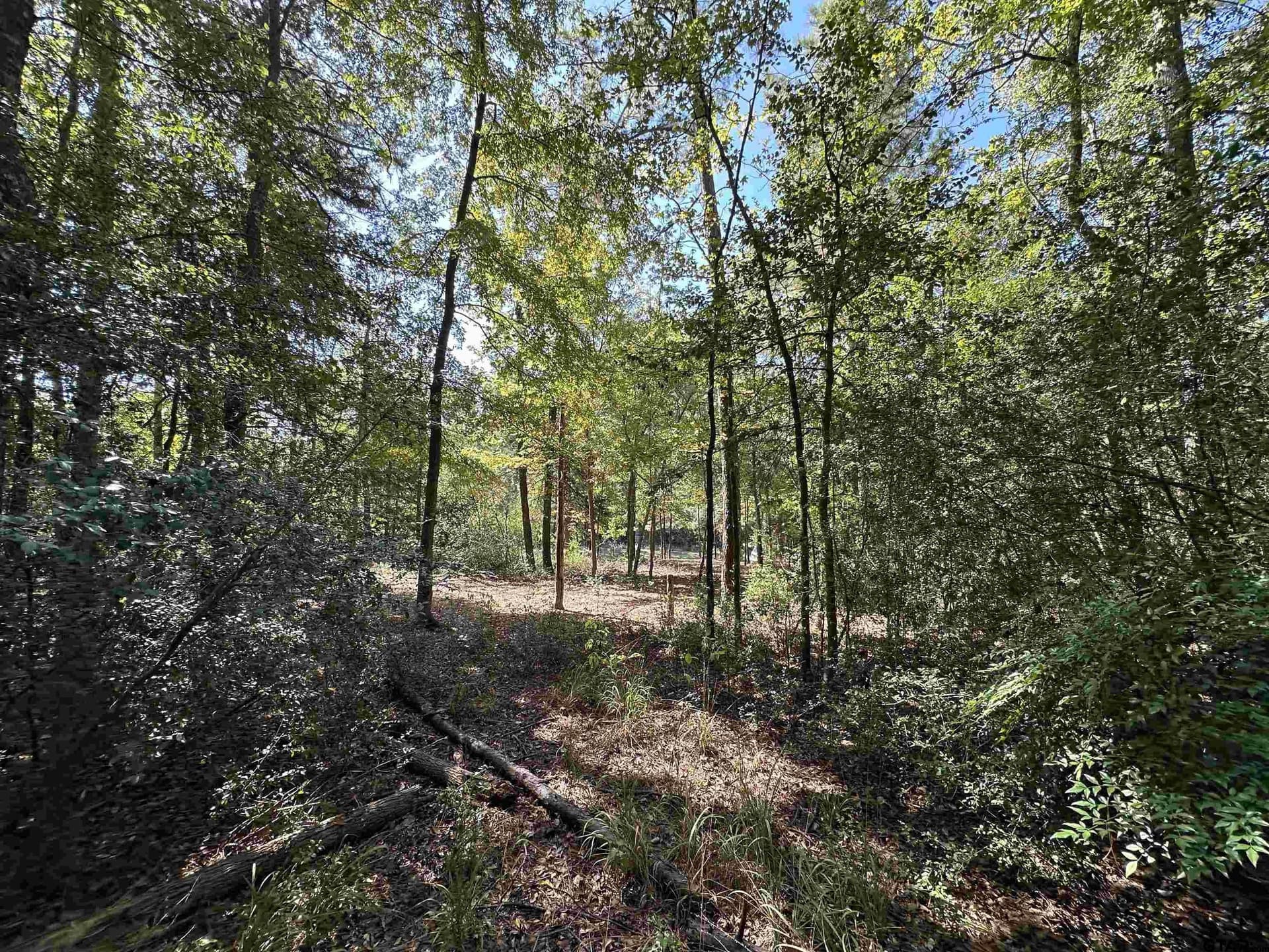 0.37 acres in Wood County - photo 14