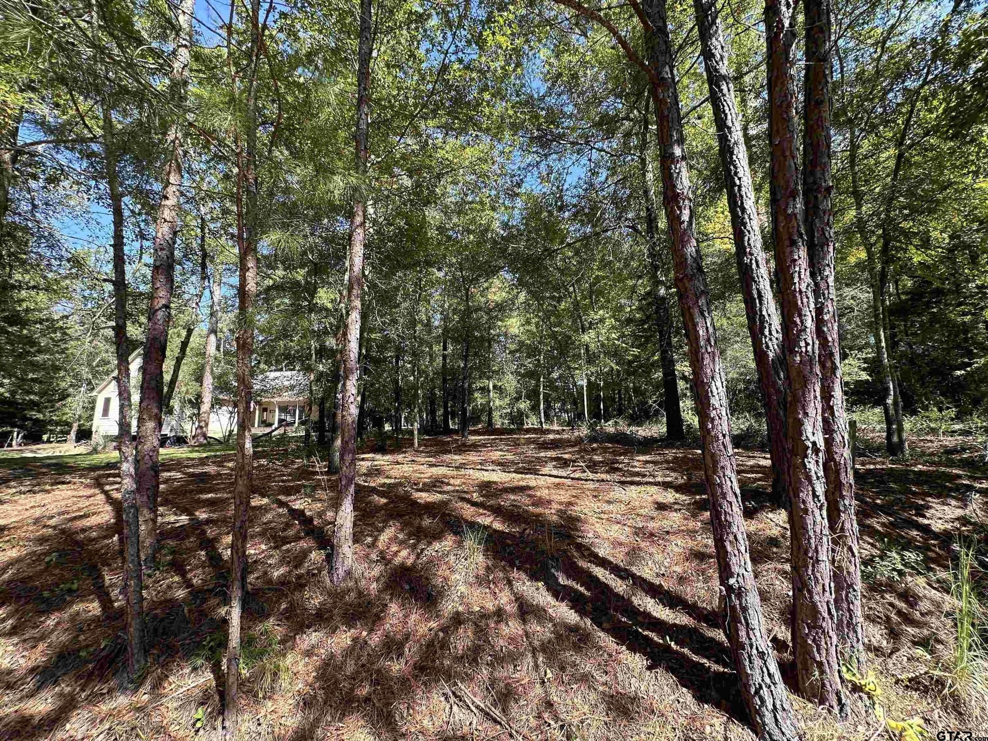 0.37 acres in Wood County - photo 33