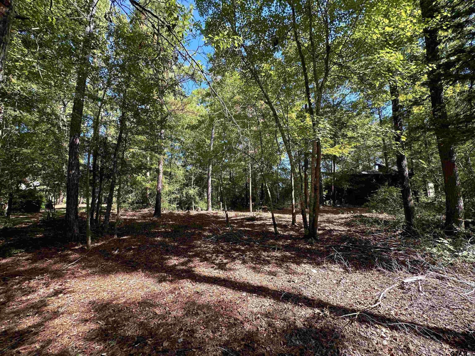 0.37 acres in Wood County - photo 7