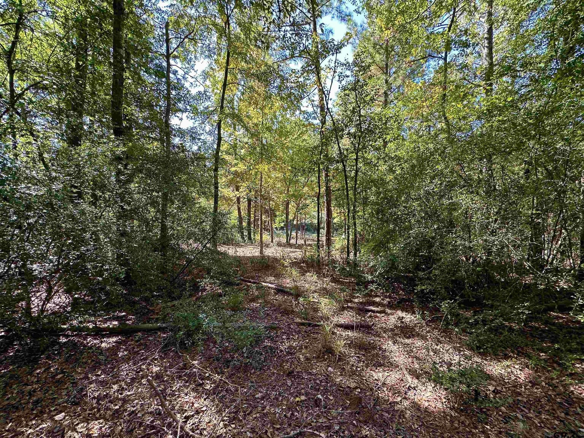 0.37 acres in Wood County - photo 26