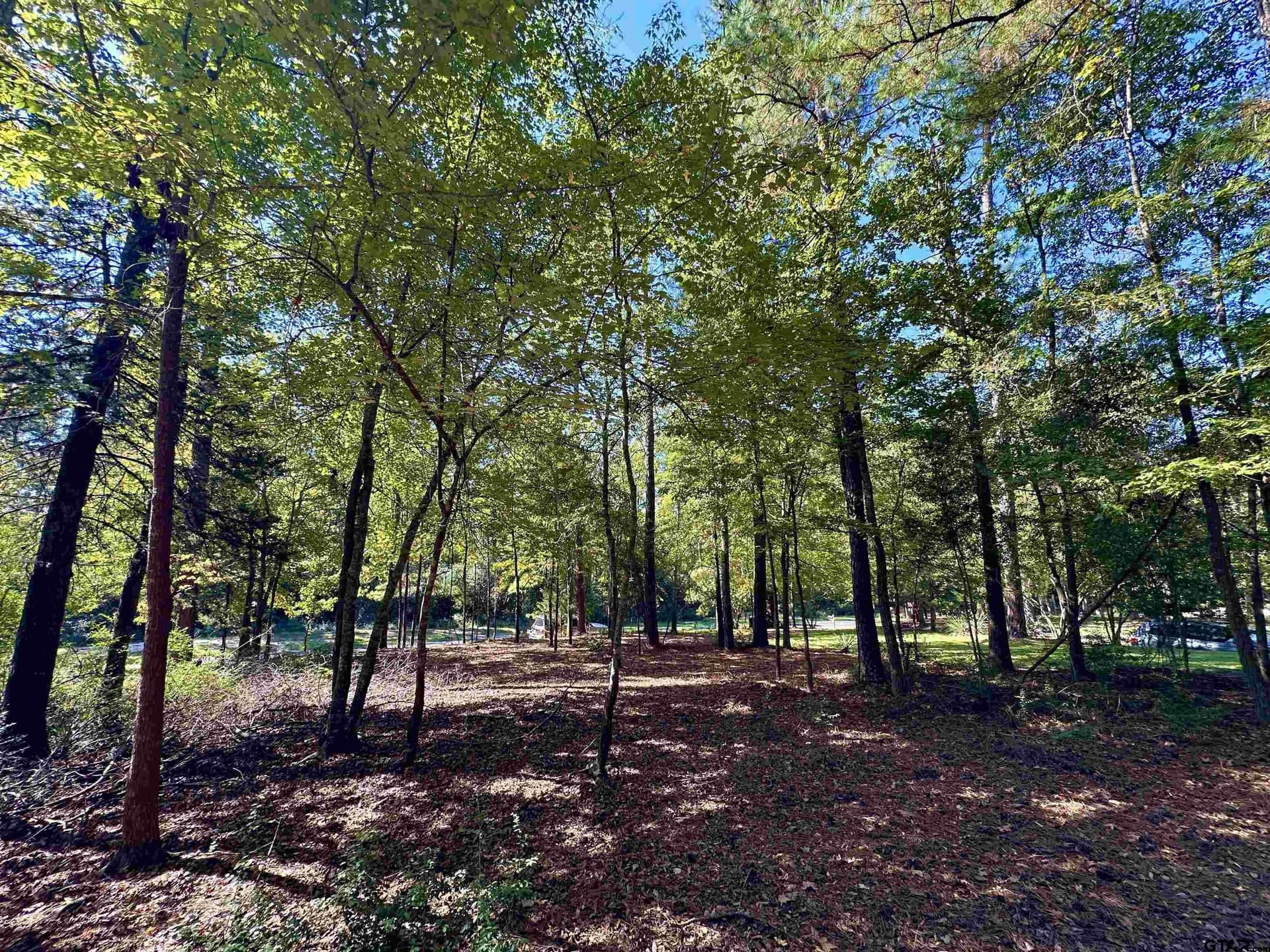 0.37 acres in Wood County - photo 12