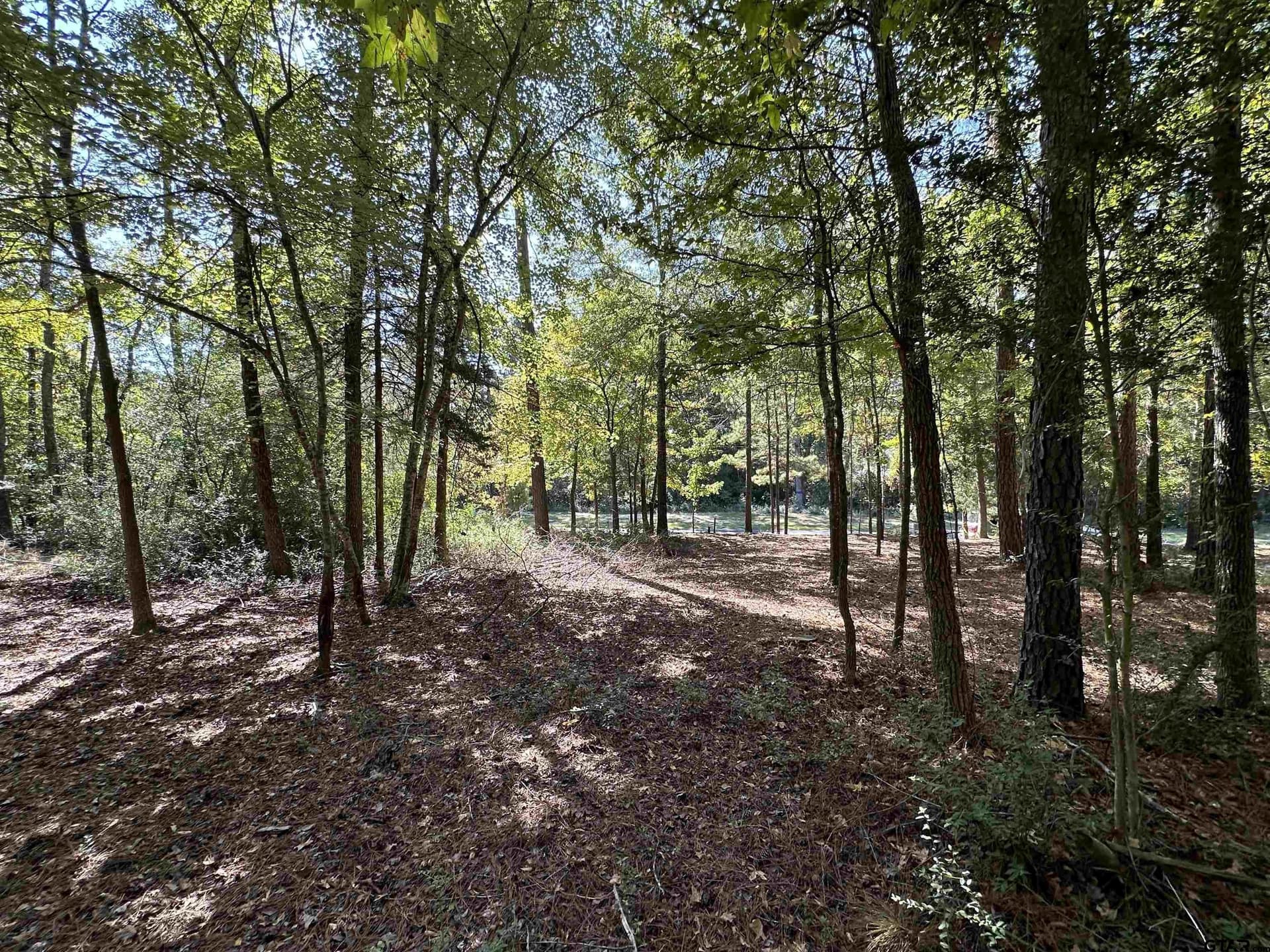 0.37 acres in Wood County - photo 28