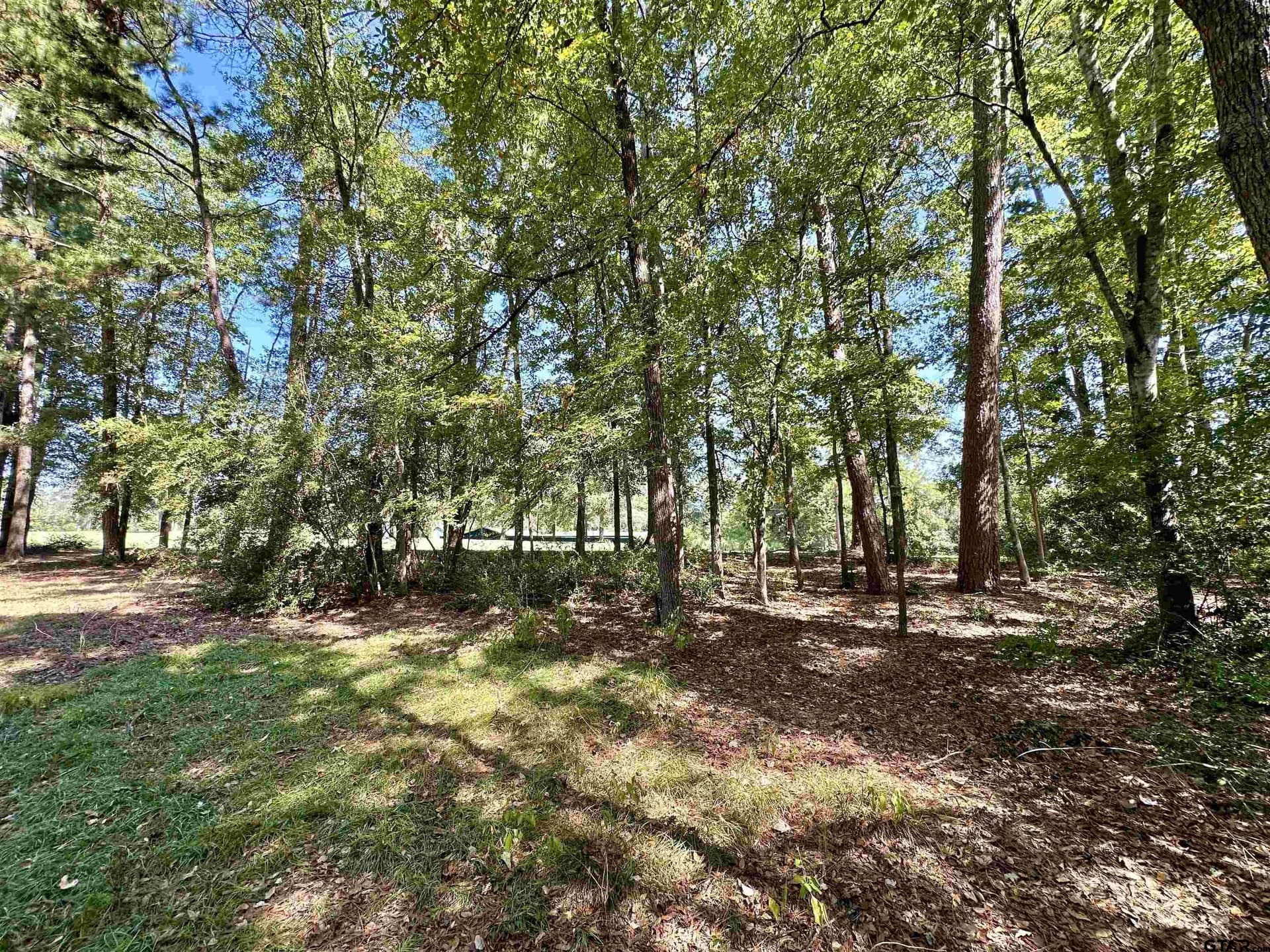 0.37 acres in Wood County - photo 13